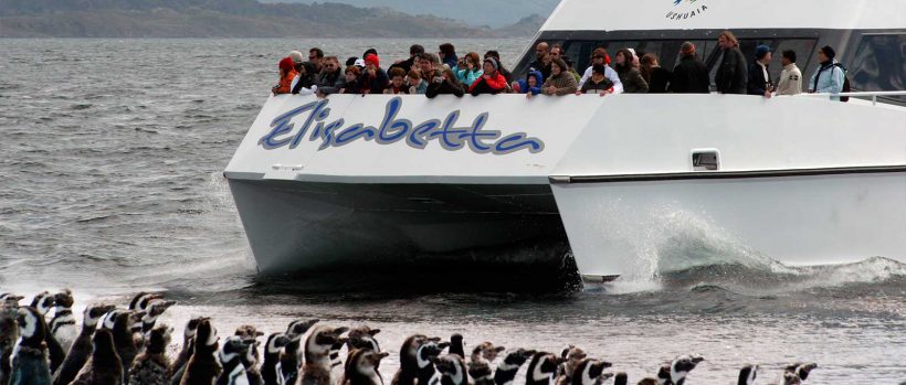 PINGUINERA-Recorrido_Pinguinera_01.jpg