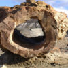 bosque-2-800x540-1-1.jpg