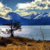 parque-nacional-tierra-del-fuego-ushuaia-1-1.jpg