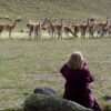 safari-experience-1-e1558454628712-1.jpg