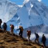 trekkin-1170x600-e1572126607780-1.jpeg